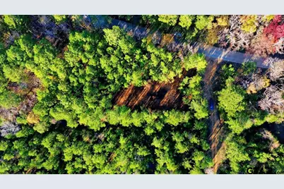 222 S Main Street, Arp, TX 75750 - Photo 1