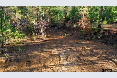 222 S Main Street, Arp, TX 75750 - Photo 3