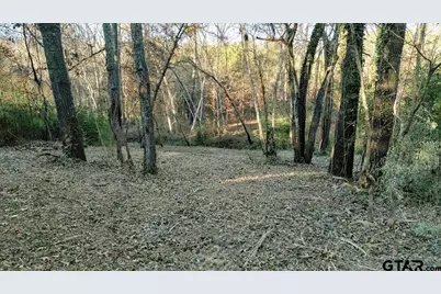 1936 Fm 2908, Tyler, TX 75705 - Photo 5