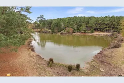 370 County Road 4719, Troup, TX 75789 - Photo 1