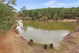 370 Co Rd 4719, Troup, TX 75789 - Photo 1
