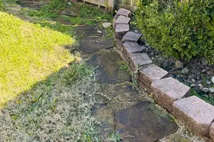 401 Magnolia Ct, Whitehouse, TX 75791 - Photo 19