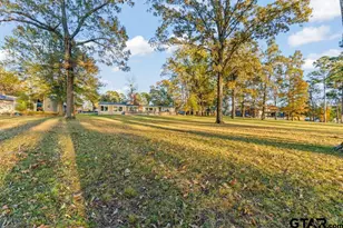 526 Shadywood, Avinger, TX 75630 - Photo 37