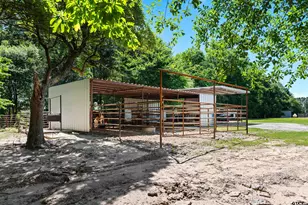 3815 Fm 2088, Quitman, TX 75783 - Photo 21