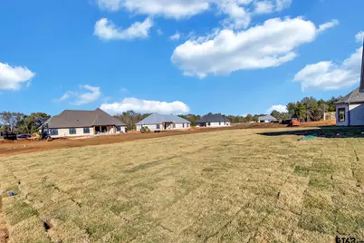 12389 Madison Xing, Bullard, TX 75757 - Photo 31