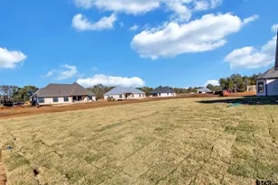 12389 Madison Xing, Bullard, TX 75757 - Photo 31