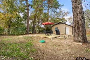 10124 County Rd 280, Tyler, TX 75707 - Photo 11