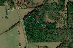 Tbd Fm 2888, Marietta, TX 75566 - Photo 5