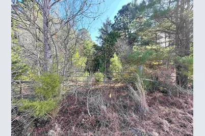 Tbd Fm 2888, Marietta, TX 75566 - Photo 3
