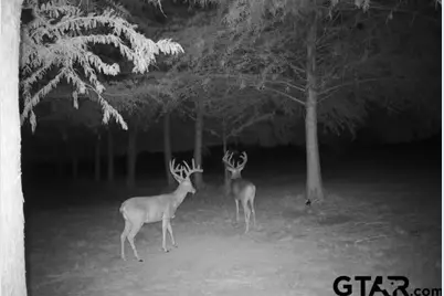 803 Westshore Drive, Wylie, TX 75098 - Photo 39