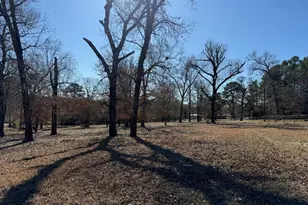 16120 Cr 1130, Flint, TX 75762 - Photo 33