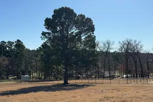 16120 Cr 1130, Flint, TX 75762 - Photo 35