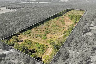 1505 Cr 2628, Alto, TX 75925 - Photo 3