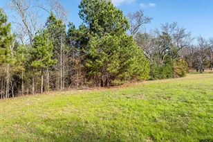 12244 Cr 180, Tyler, TX 75703 - Photo 39