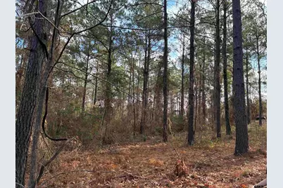 845 George Blvd., Rusk, TX 75785 - Photo 9