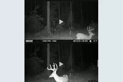 845 George Blvd., Rusk, TX 75785 - Photo 23