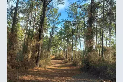 845 George Blvd., Rusk, TX 75785 - Photo 13