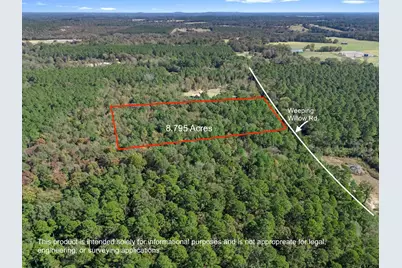 Tbd Weeping Willow Rd., Big Sandy, TX 75755 - Photo 1