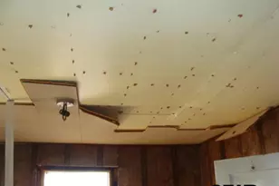 811 Greely, Jacksonville, TX 75766 - Photo 19