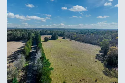 0 An County Road 153, Palestine, TX 75801 - Photo 7