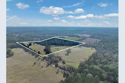 0 An County Road 153, Palestine, TX 75801 - Photo 1