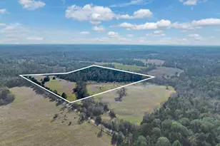 0 An County Road 153, Palestine, TX 75801 - Photo 1
