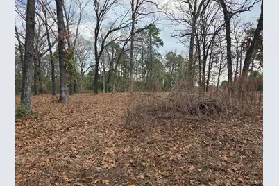 Tbd Highway 14, Hawkins, TX 75765 - Photo 9