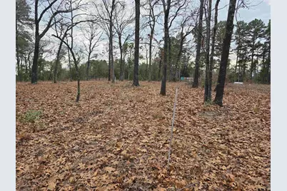 Tbd Highway 14, Hawkins, TX 75765 - Photo 7