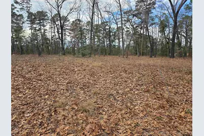 Tbd Highway 14, Hawkins, TX 75765 - Photo 5