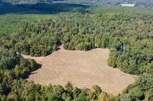 Tbd Cr 2737, Naples, TX 75568 - Photo 25