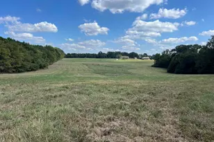 Tbd Cr 2737, Naples, TX 75568 - Photo 11