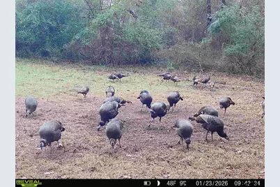 Tbd Cr 2737, Naples, TX 75568 - Photo 41