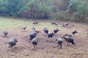 Tbd Cr 2737, Naples, TX 75568 - Photo 41