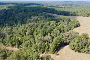 Tbd Cr 2737, Naples, TX 75568 - Photo 21