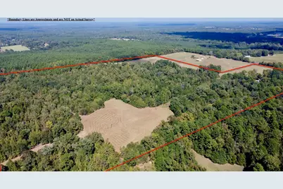 Tbd Cr 2737, Naples, TX 75568 - Photo 29