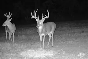 Tbd Cr 2737, Naples, TX 75568 - Photo 17