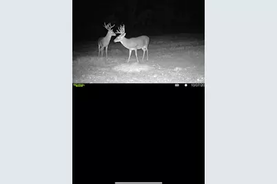 Tbd Cr 2737, Naples, TX 75568 - Photo 5