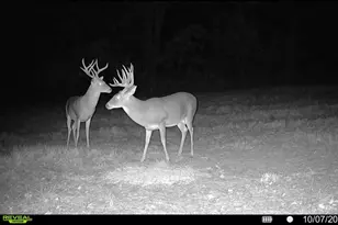 Tbd Cr 2737, Naples, TX 75568 - Photo 5