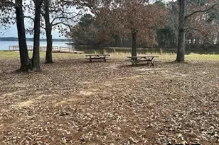 11510 Kitty Hawk, Frankston, TX 75763 - Photo 19