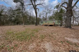 24773 Cr 460, Grand Saline, TX 75140 - Photo 27