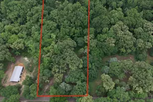 24773 Cr 460, Grand Saline, TX 75140 - Photo 3