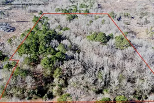 Tbd Fm 161 N, Naples, TX 75568 - Photo 3