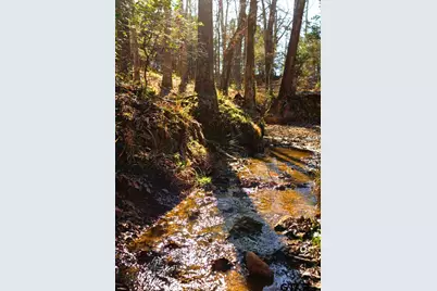 Tbd County Road 477, Lindale, TX 75771 - Photo 25