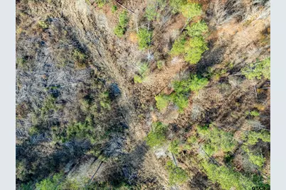 Tbd Tom Woodley Rd, Marshall, TX 75672 - Photo 11