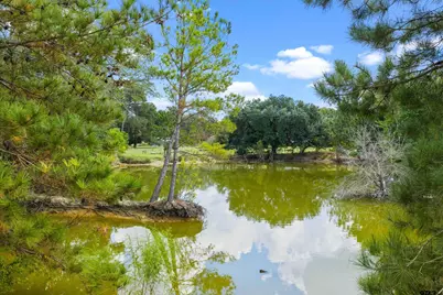 Tbd 40.408 Acre W Cr 413, Henderson, TX 75654 - Photo 15