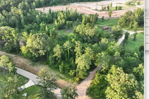 Lot 47 Cr 2123, Whitehouse, TX 75791 - Photo 1