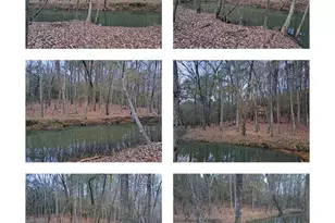 10774 County Road 494 (Multiple Addresses), Tyler, TX 75706 - Photo 33