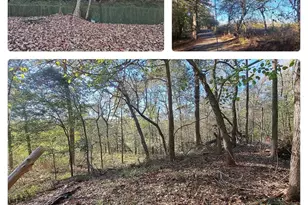 10774 County Road 494 (Multiple Addresses), Tyler, TX 75706 - Photo 15