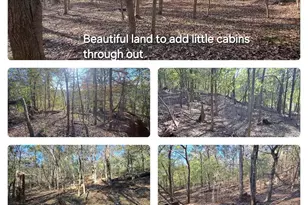 10774 County Road 494 (Multiple Addresses), Tyler, TX 75706 - Photo 37