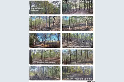 10774 County Road 494 (Multiple Addresses), Tyler, TX 75706 - Photo 7